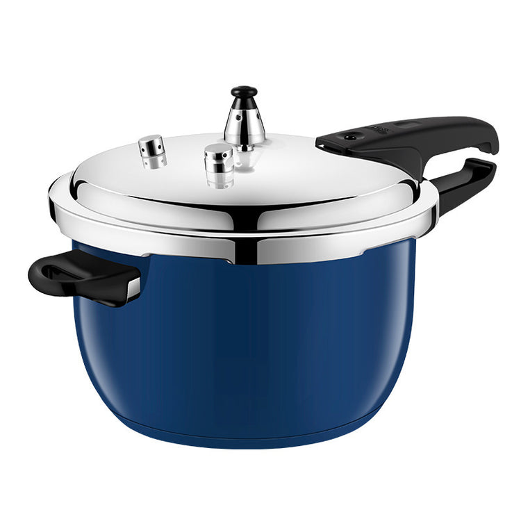 Stainless Steel Pressure Cooker