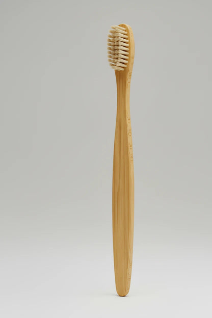 biodegradable bamboo toothbrush set