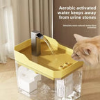 Cat Water Fountain with Auto Filter Transparent Anti-Dry Burning Recirculating Dispenser Includes Pump for Cats