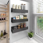 Magnetic Spice Rack for Refrigerator, Magnetic Shelf, Moveable Fridge Organizer with Hook Rack, Seasoning Organizer for Kitchen
