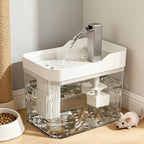 Cat Water Fountain with Auto Filter Transparent Anti-Dry Burning Recirculating Dispenser Includes Pump for Cats