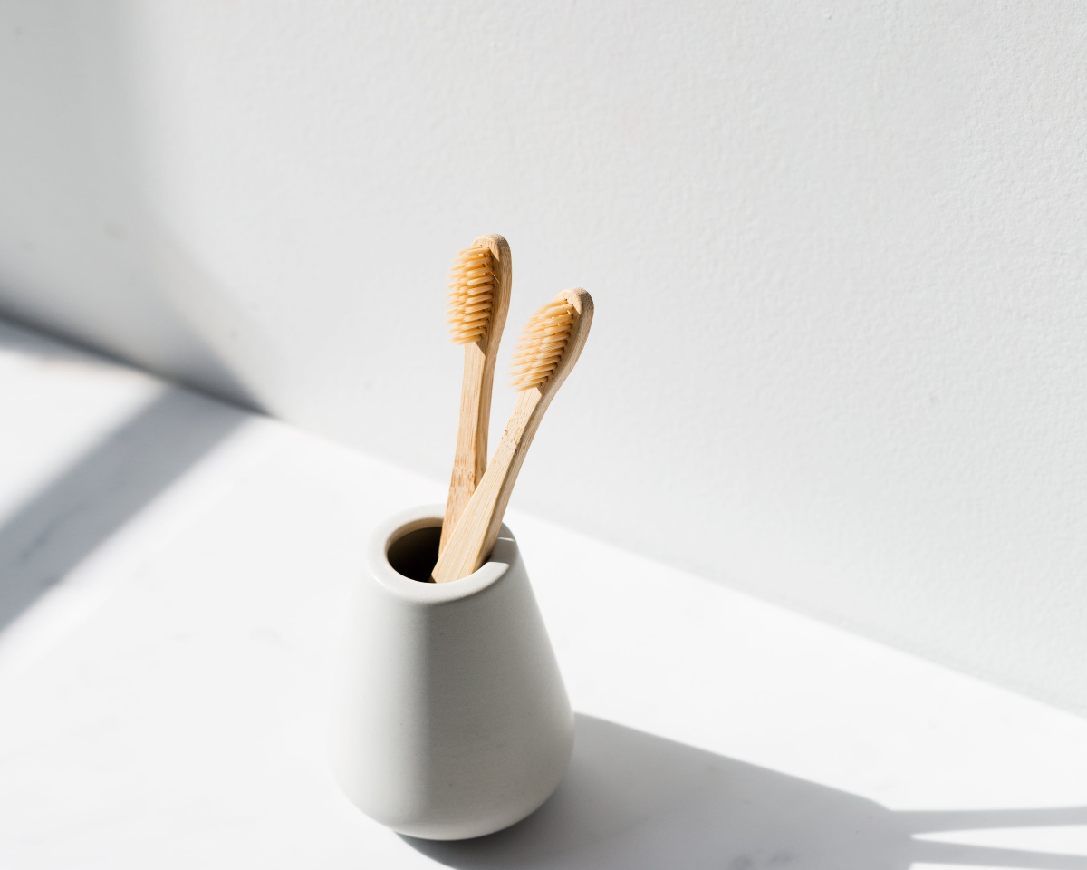 Two wooden toothbrushes in a white holder on a light gray background
